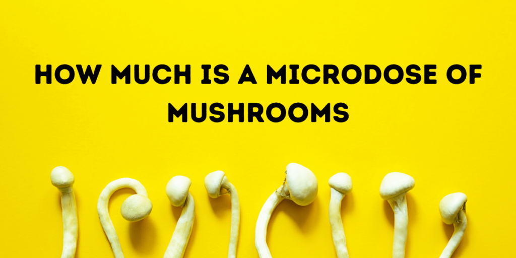 How Much is a Microdose of Mushrooms